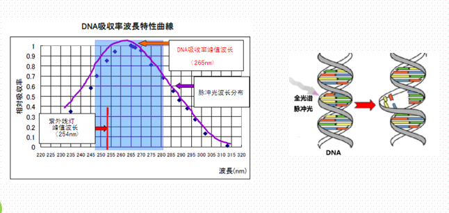 脈沖強光水處理——飲用水微生物凈化處理技術